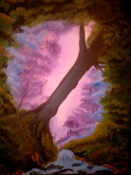 The magical forest