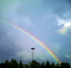 THe Rainbow