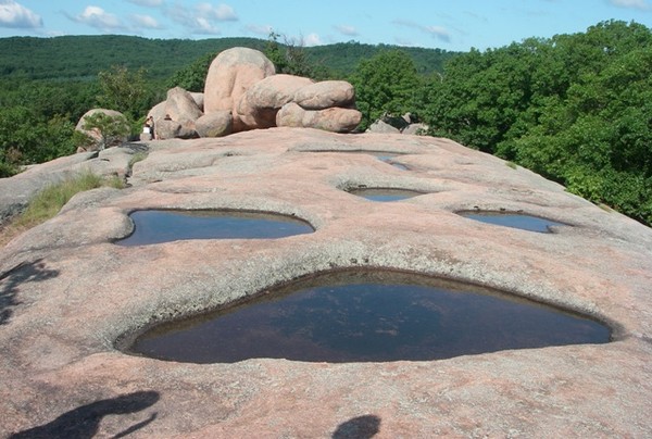 Paw in Rock