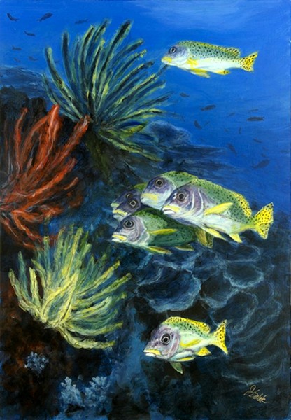 Sweetlips