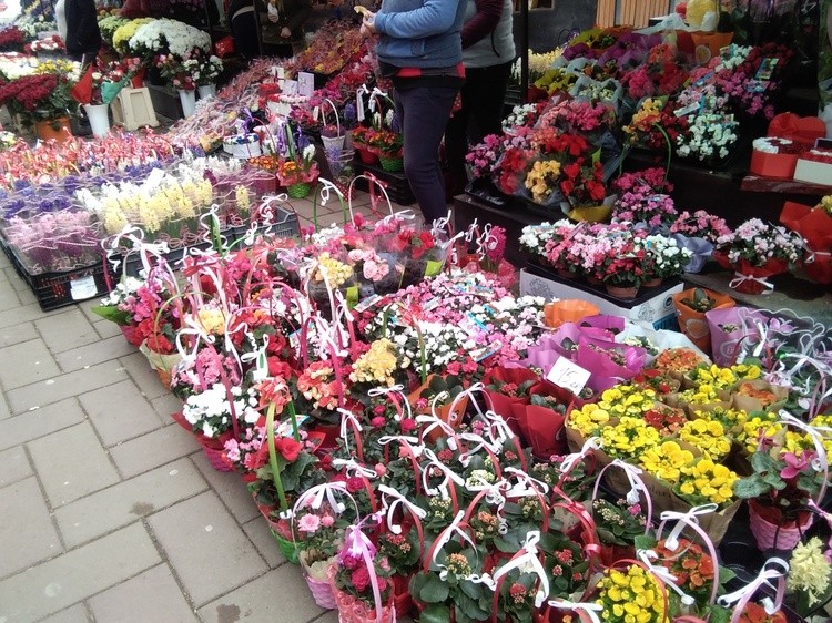 IMG 20200307 094458