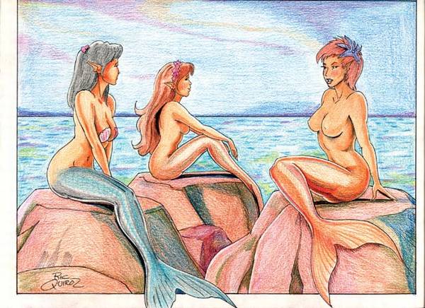 Sunning on the Rocks
