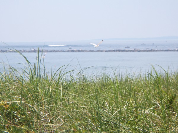 ocean view from the boardwalk