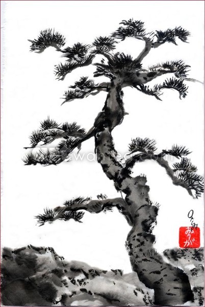 Pine of Tohoku.
