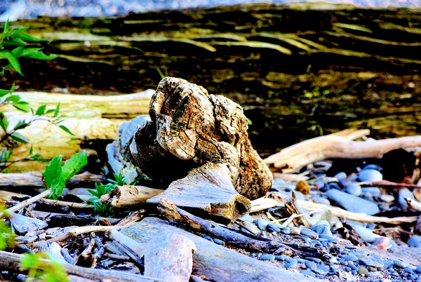 Stumped