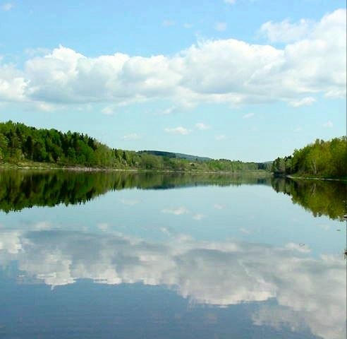 Reflections