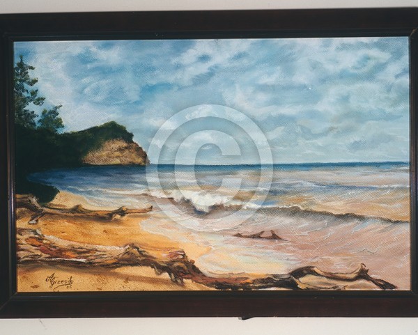 Driftwood
