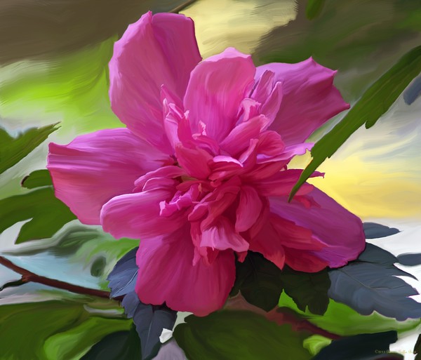 Althea Hibiscus I- Digital Painting-Photograph