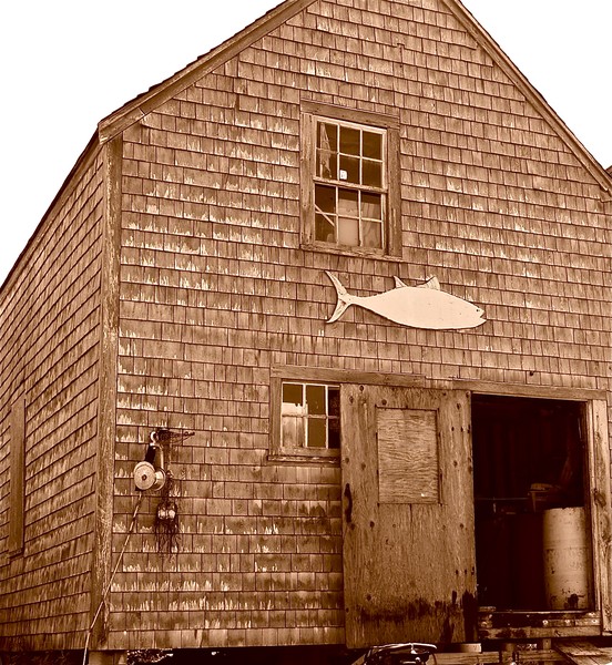 Shed on Monhegan Island Maine