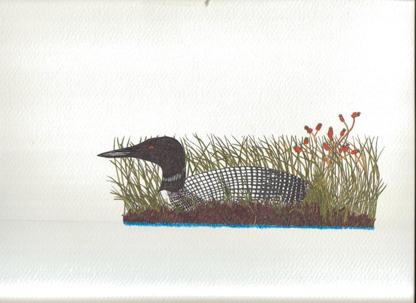 loon in nest