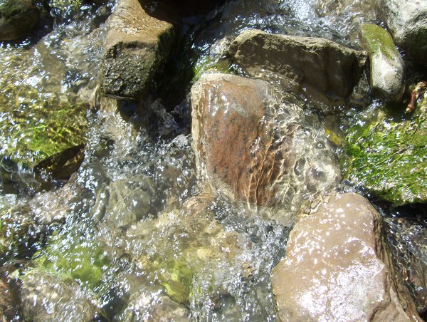 bubbling brook