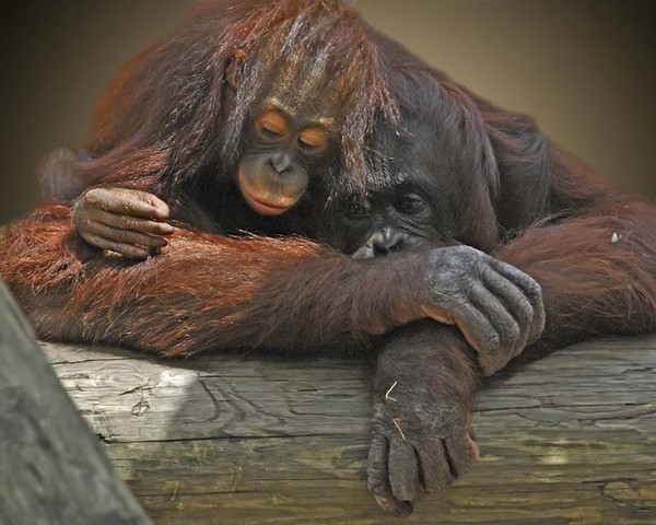 Mom and Baby
