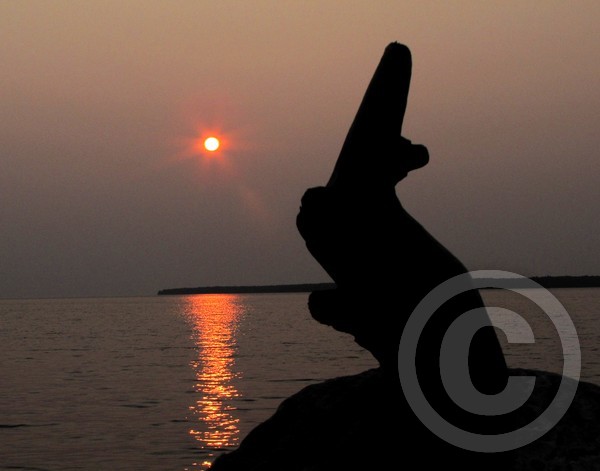 Driftwood Sunset!