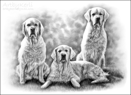 The golden trio