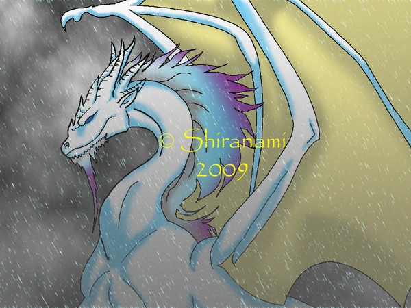 Old Dragon in the rain