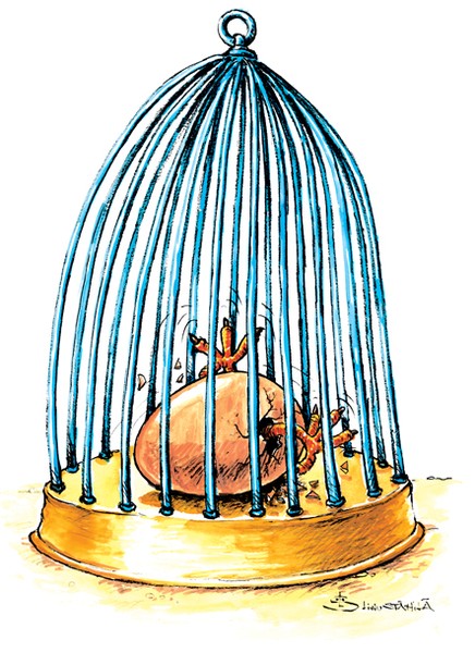 born to be free...