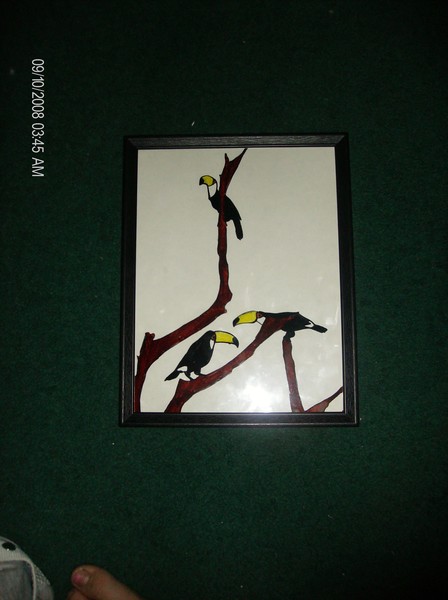 Toco Toucan