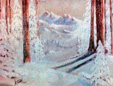Redwood Winter