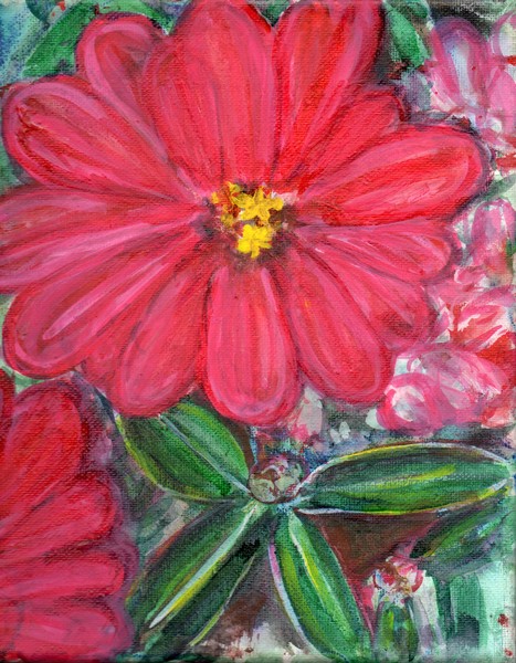 Maymont Flowers