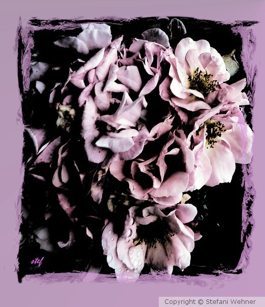 rosebunch