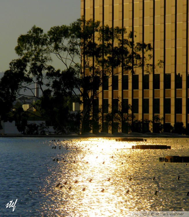sunset in the city