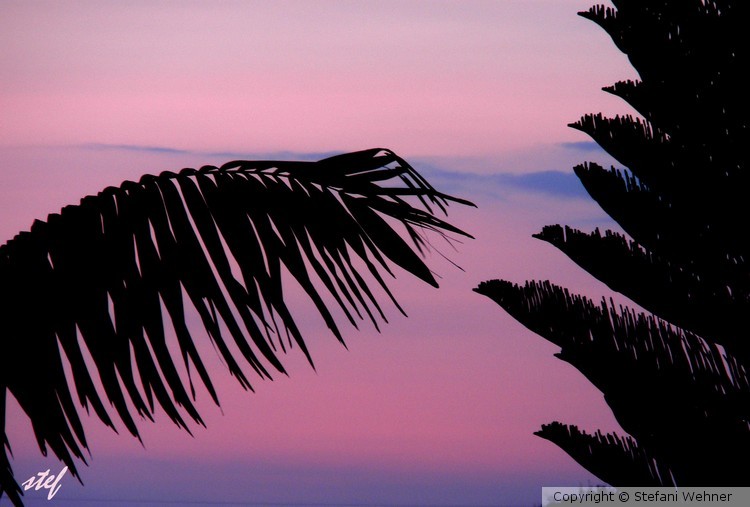 Florida SKY