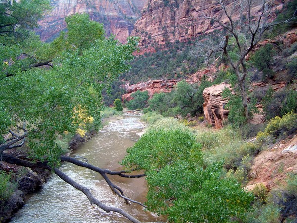 Zion N.P.