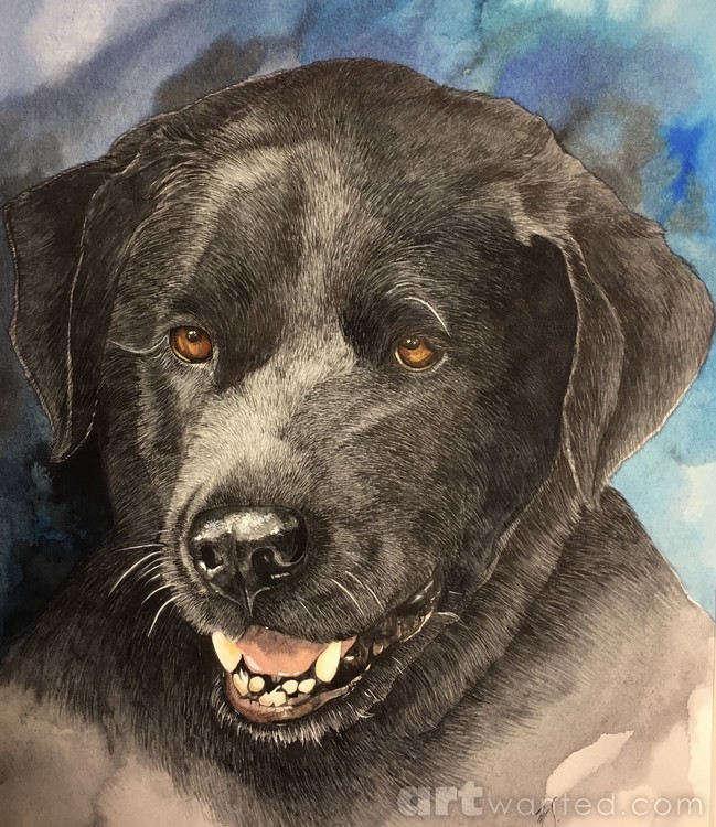Portrait of black lab