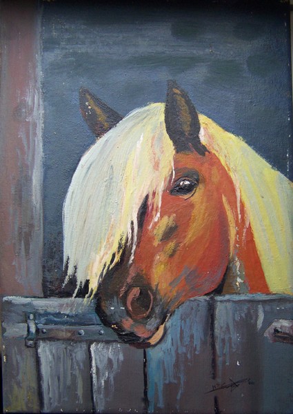 Pony