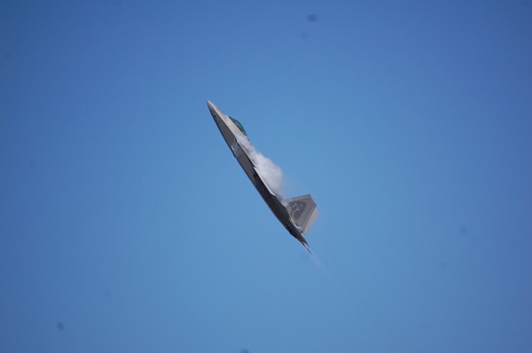 Raptor Going Vertical