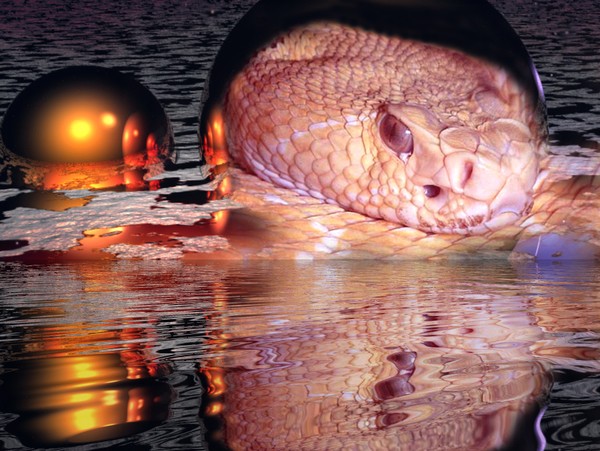 From the Deep