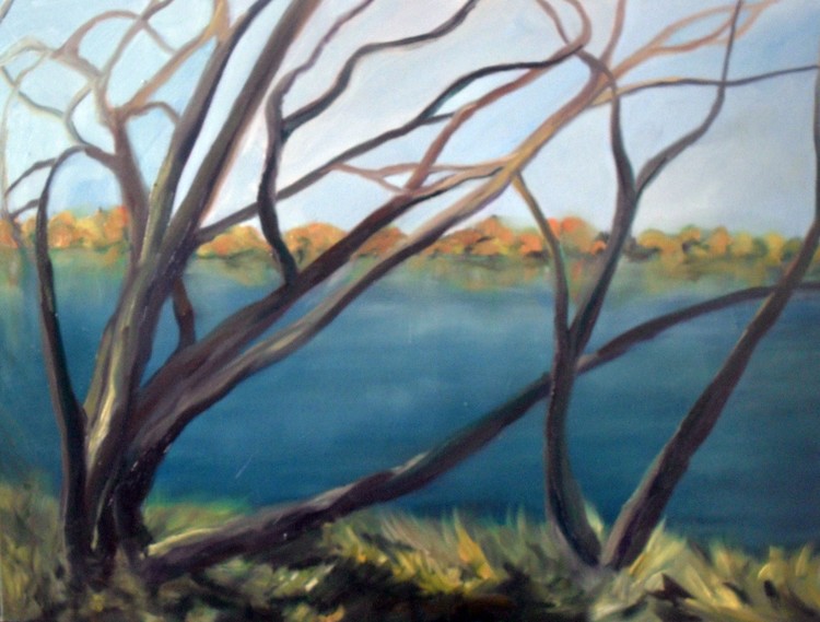 31x24 inches