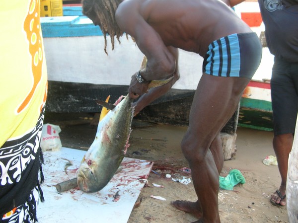 Fisherman!