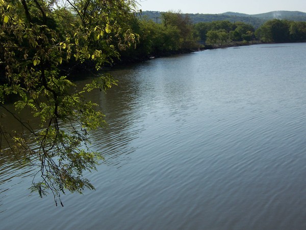 Serene