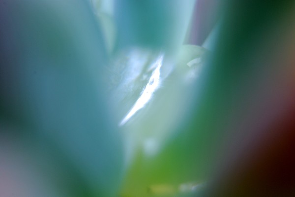 DSC_0029