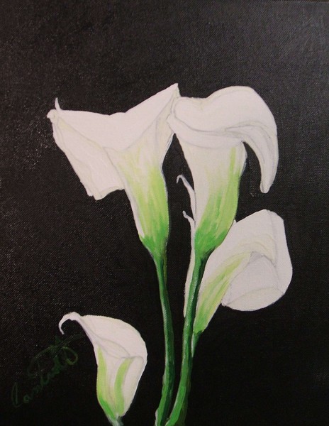 Calla lilys