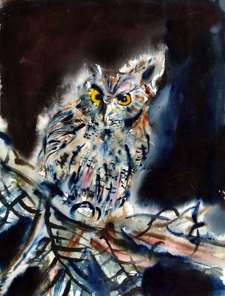 owl