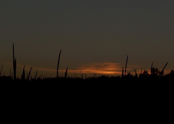 Moody Horizon