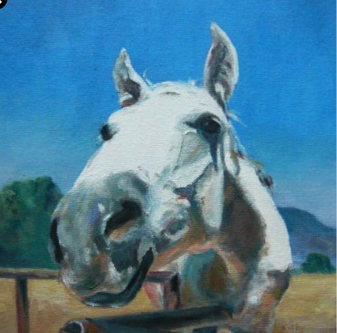 Horse in Your Face