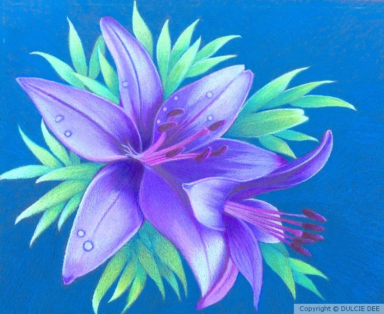 PURPLE LILY