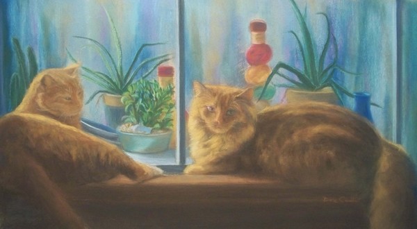Cats in the Window