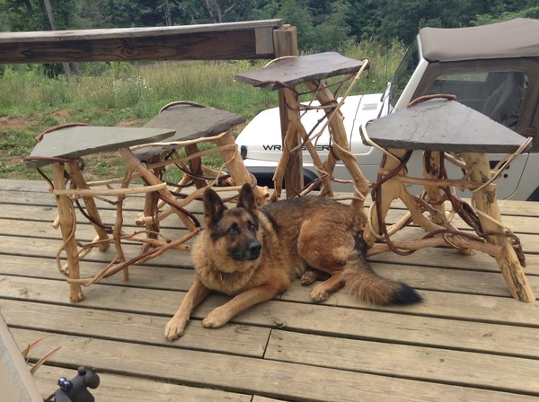 Group shot with my Koda bear