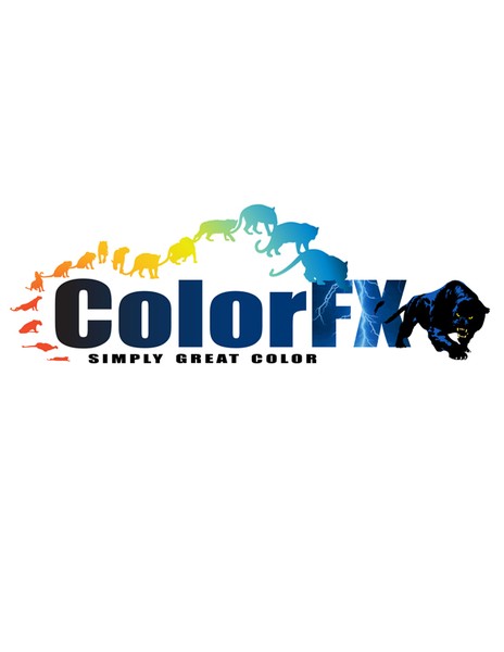 Color FX Logo
