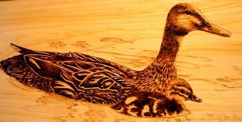 Mallard Hen 'n' duckling