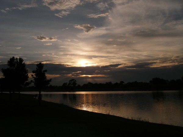 a nice night