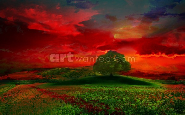 Sunset Tree Landscape