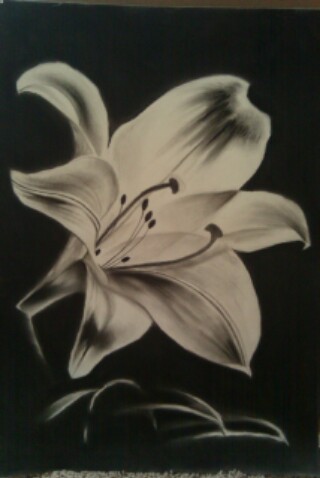 Lilly