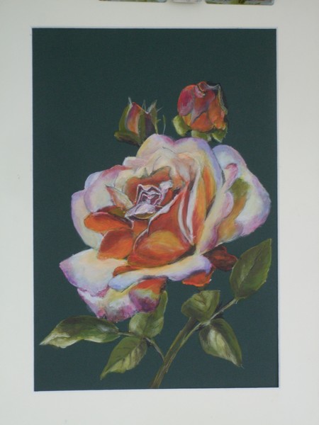 The Rose.