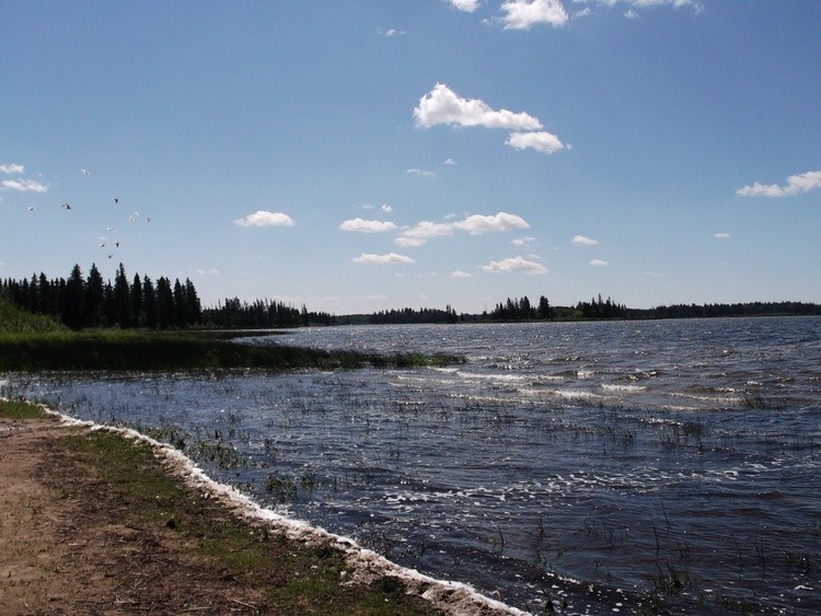 Astonin Lake, Elk Island Park