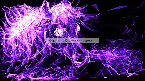 Year of the horse '14